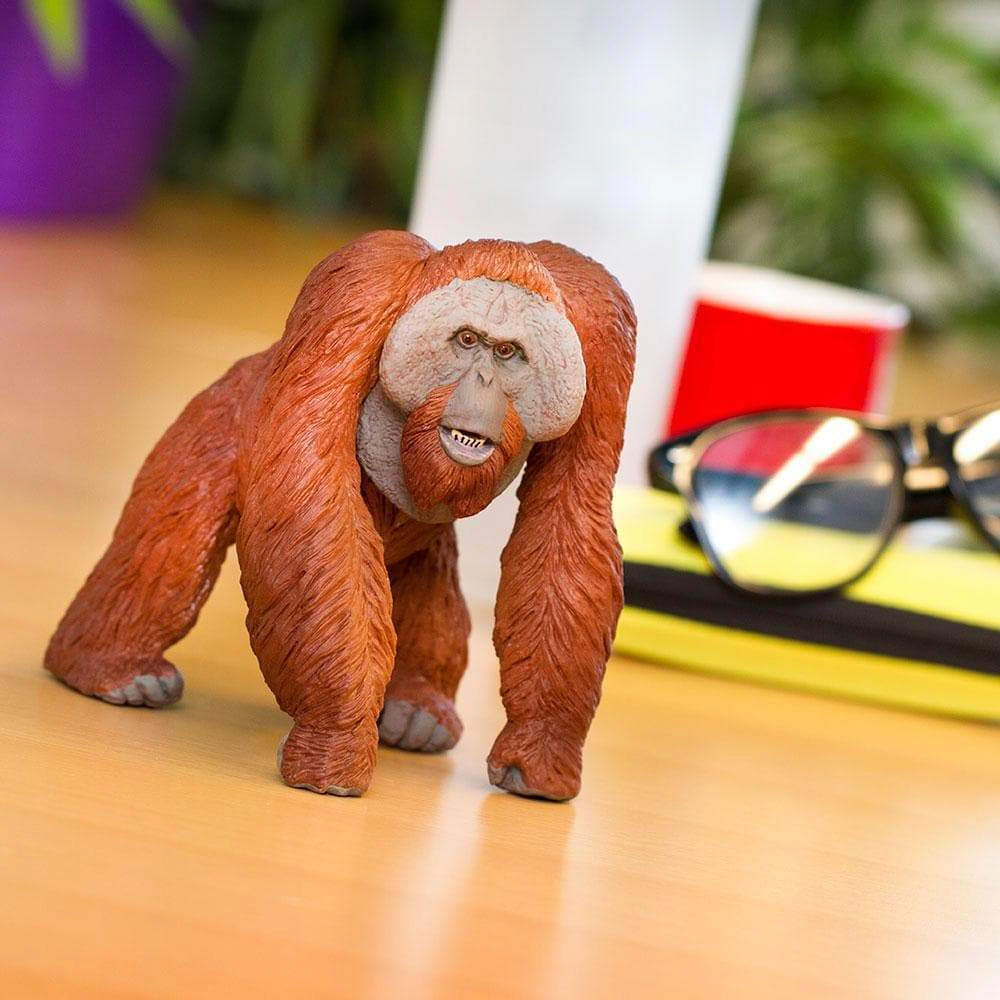Safari Ltd. - Bornean Orangutan Kids Toy Figure