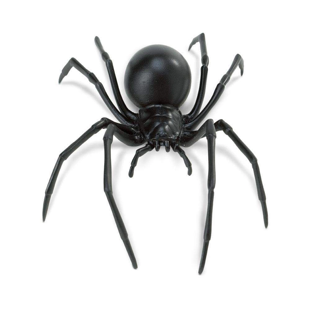 Safari Ltd. - Black Widow Spider Kids Toy Figure