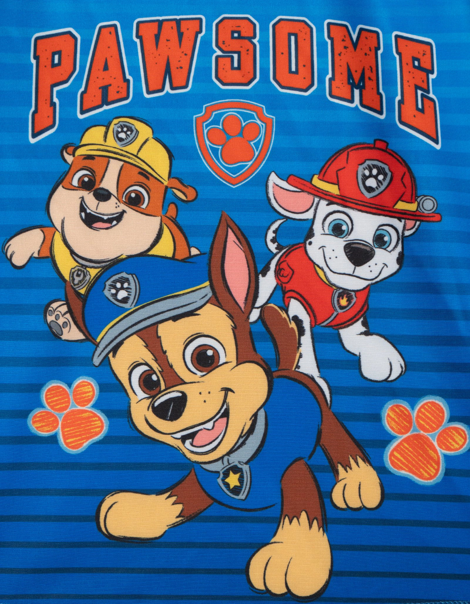 Paw Patrol Boys' Swimwear 2-Piece Rash Guard and Trunks Set