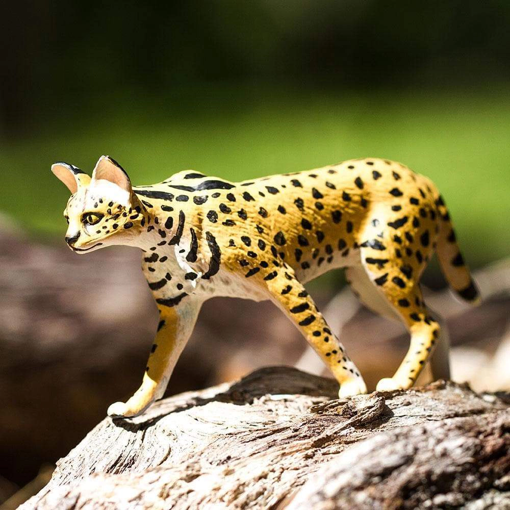 Safari Ltd. - Serval Kids Toy Figure