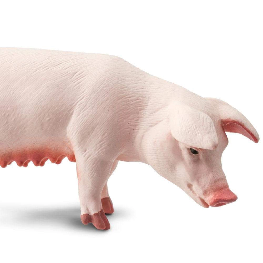 Safari Ltd. - Sow Kids Toy Figure