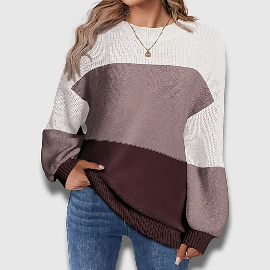 Zeagoo Women's Crewneck Long Sleeve Top
