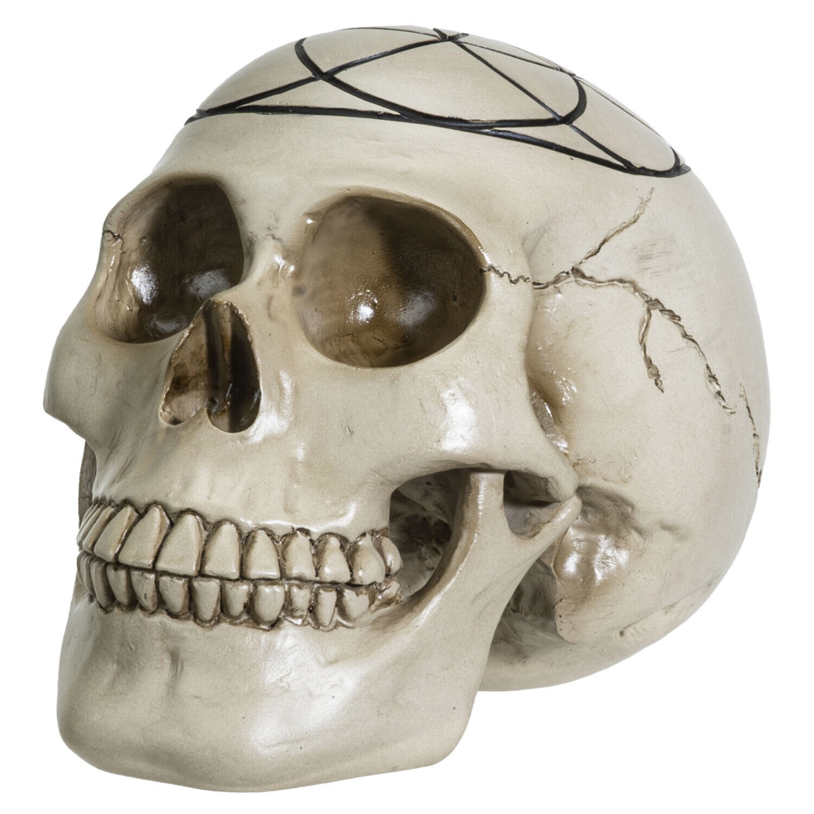 Pacific Giftware Sacred Geometry Seed of Life Human Skull Figurine 6.25 inch