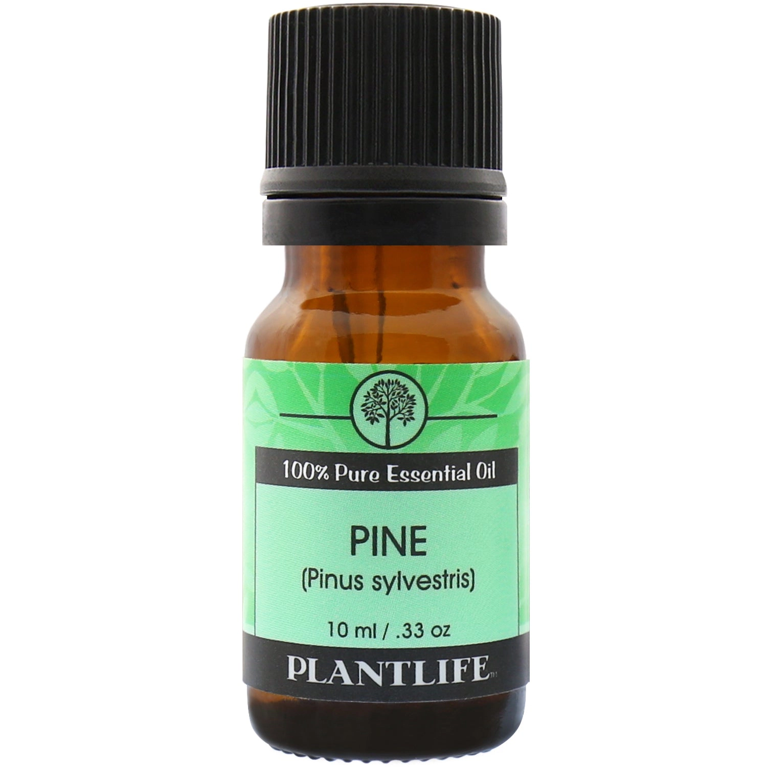 Plantlife Pine Needle Essential Oil