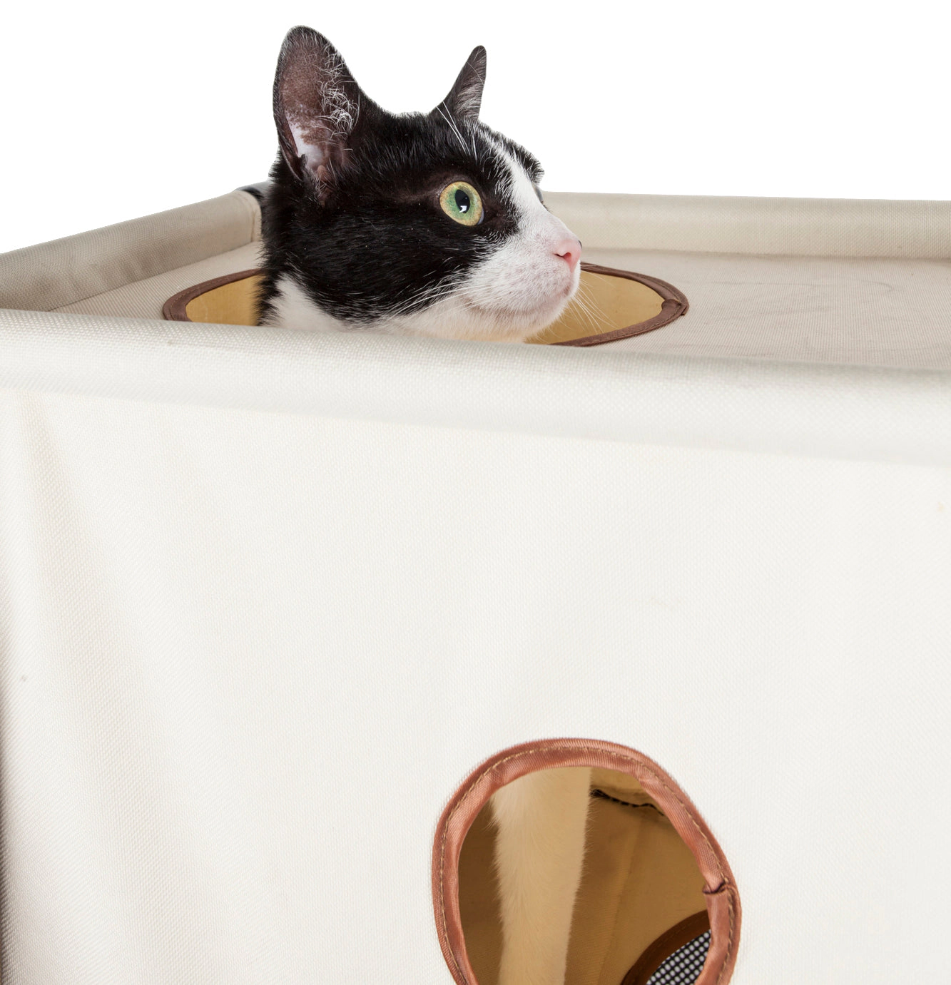 Pet Life ® Kitty-Square Obstacle Soft Folding Sturdy Play-Active Travel Collapsible Travel Pet Cat House Furniture