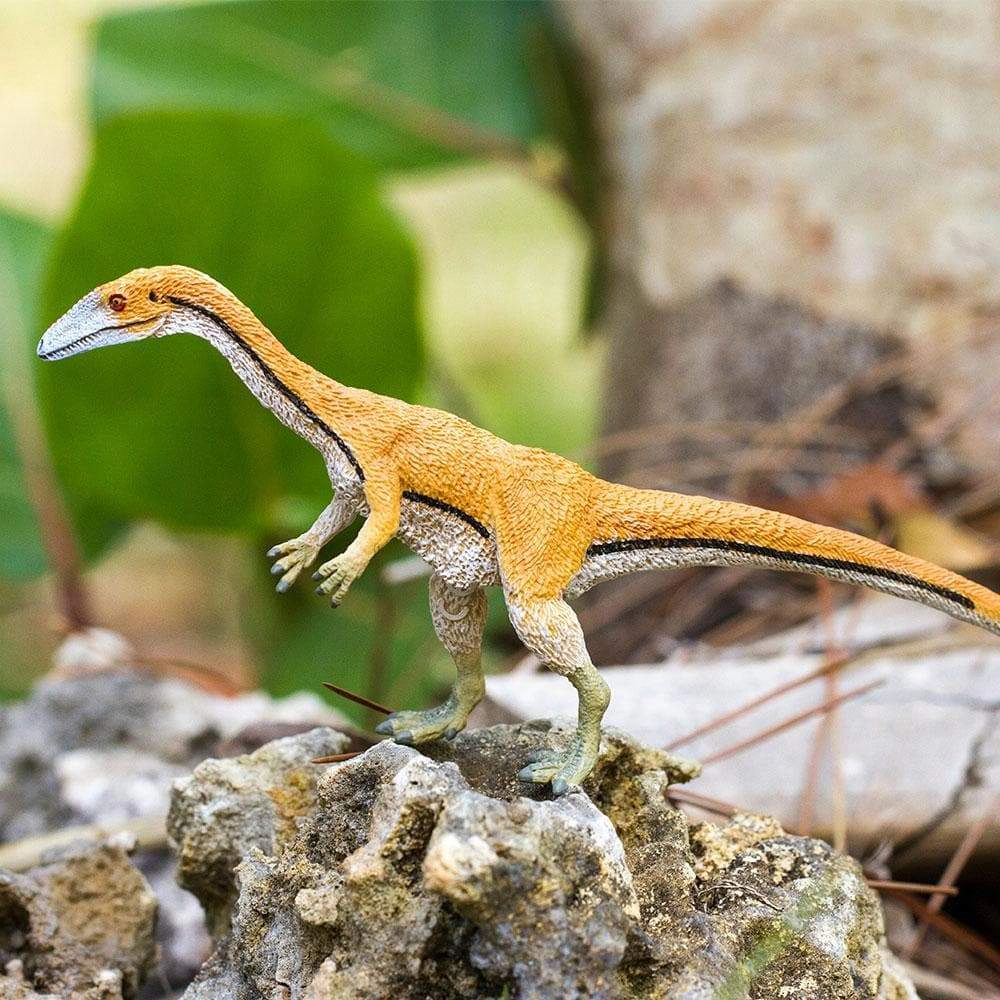 Safari Ltd. - Coelophysis Kids Prehistoric/Dinosaur Toy Figure