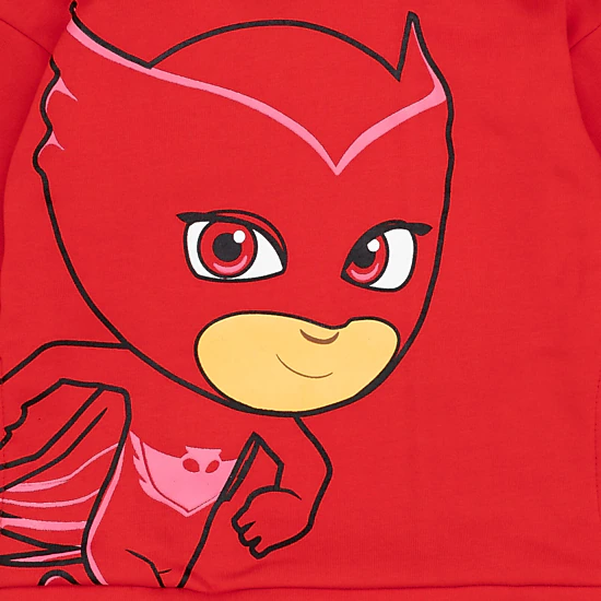 PJ Masks Boys' Fleece Pullover Hoodie