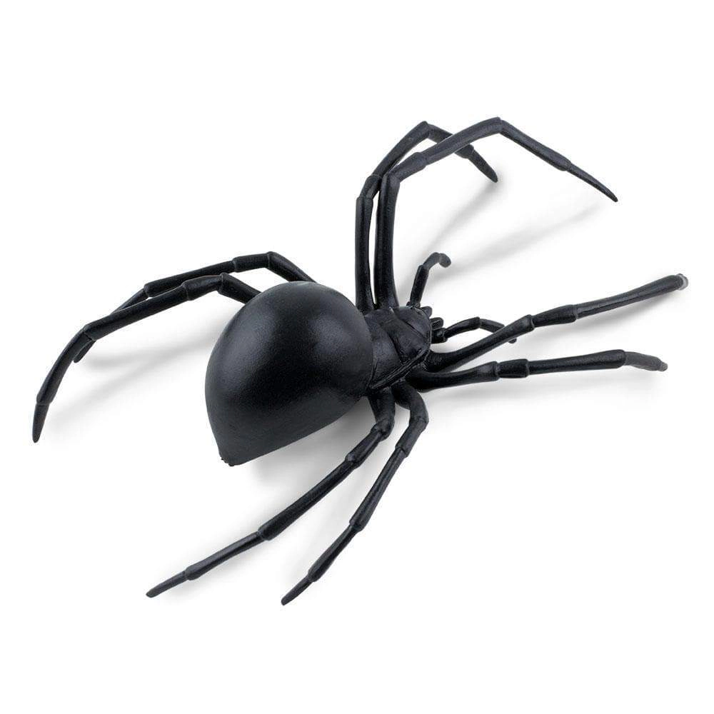 Safari Ltd. - Black Widow Spider Kids Toy Figure