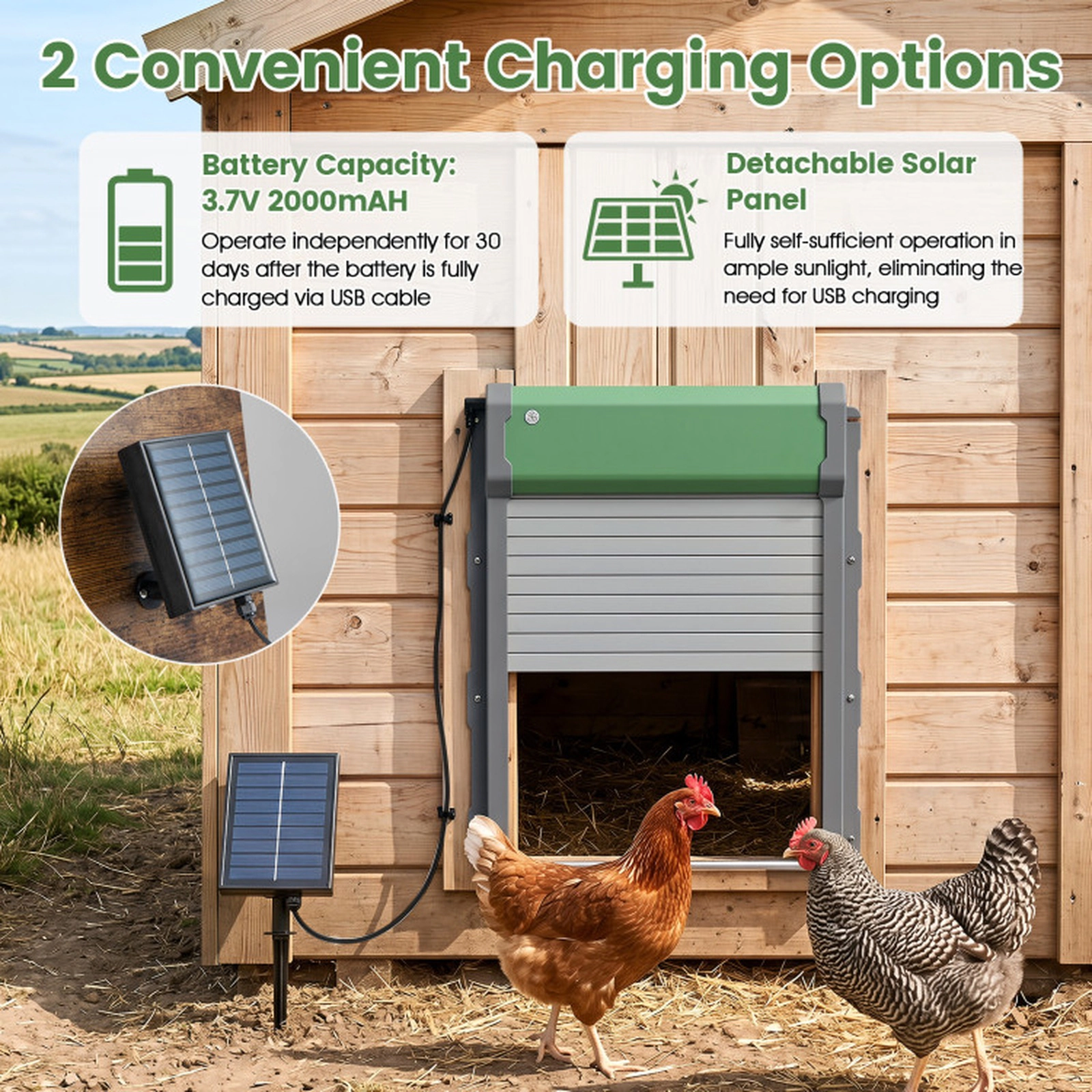 SUGIFT Automatic Solar Chicken Coop Door with Remote Control and Light Sensor Timer Green & Sliver