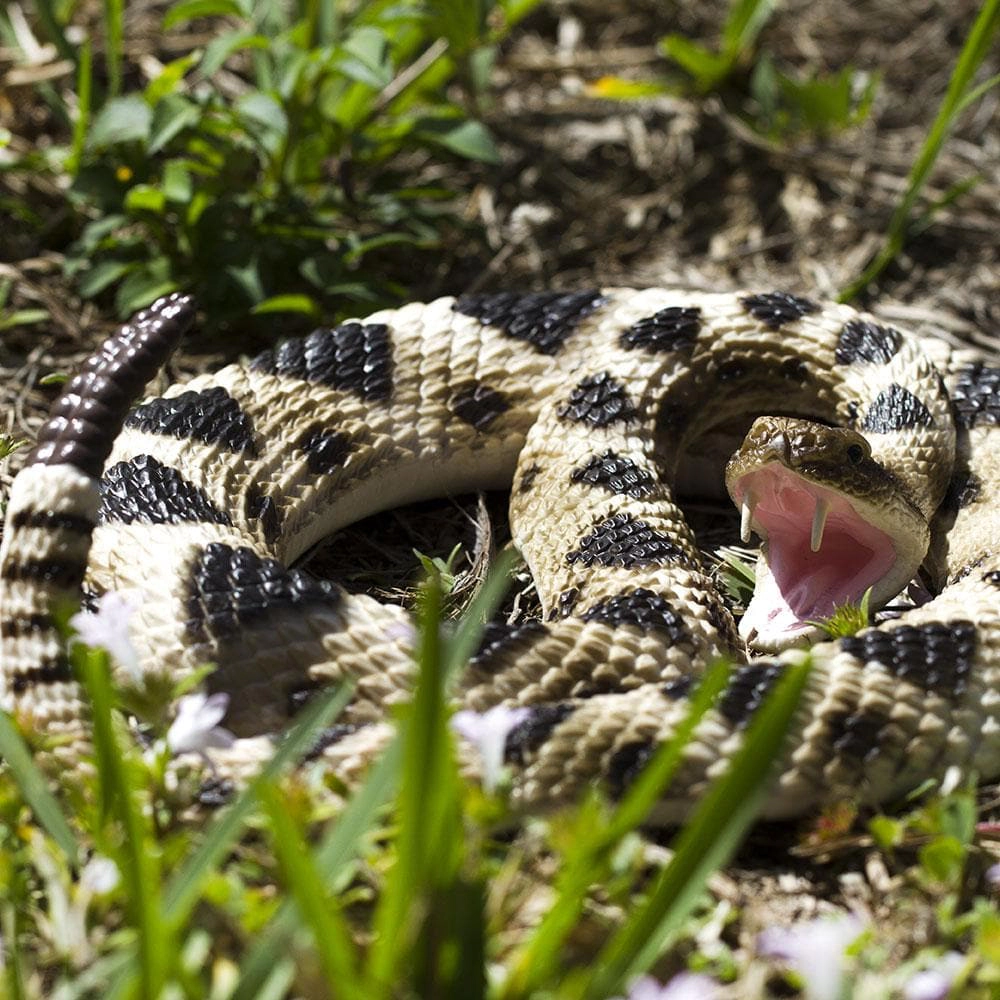 Safari Ltd. - Eastern Diamondback Rattlesnake Kids Toy Figure