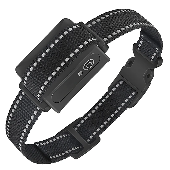 GBruno Waterproof Dog Training Collar Receiver