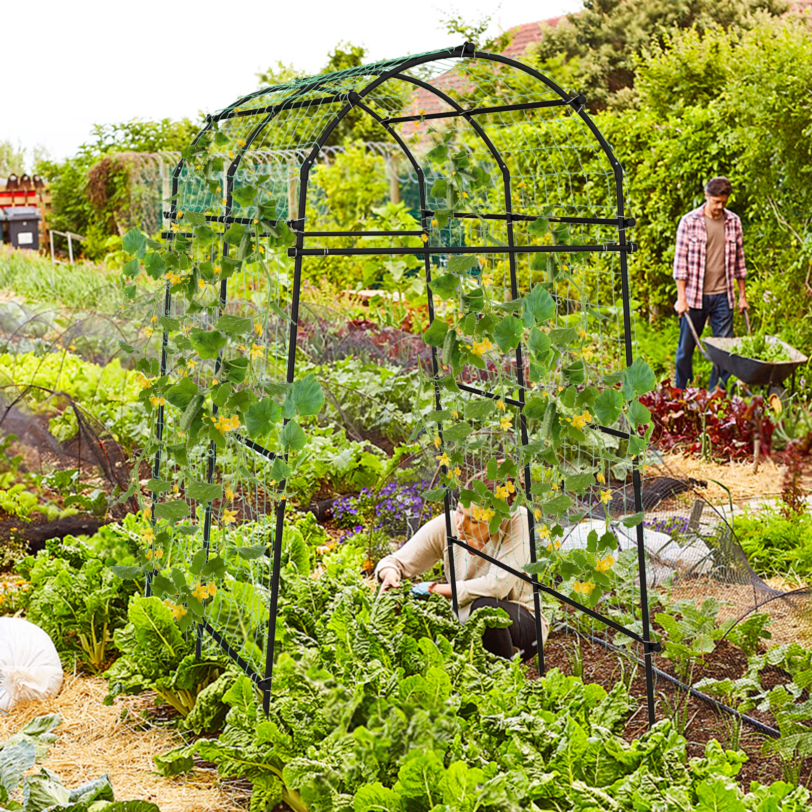 LJG 7.5 Feet Garden Arch Trellis with PE Coated Metal Structure
