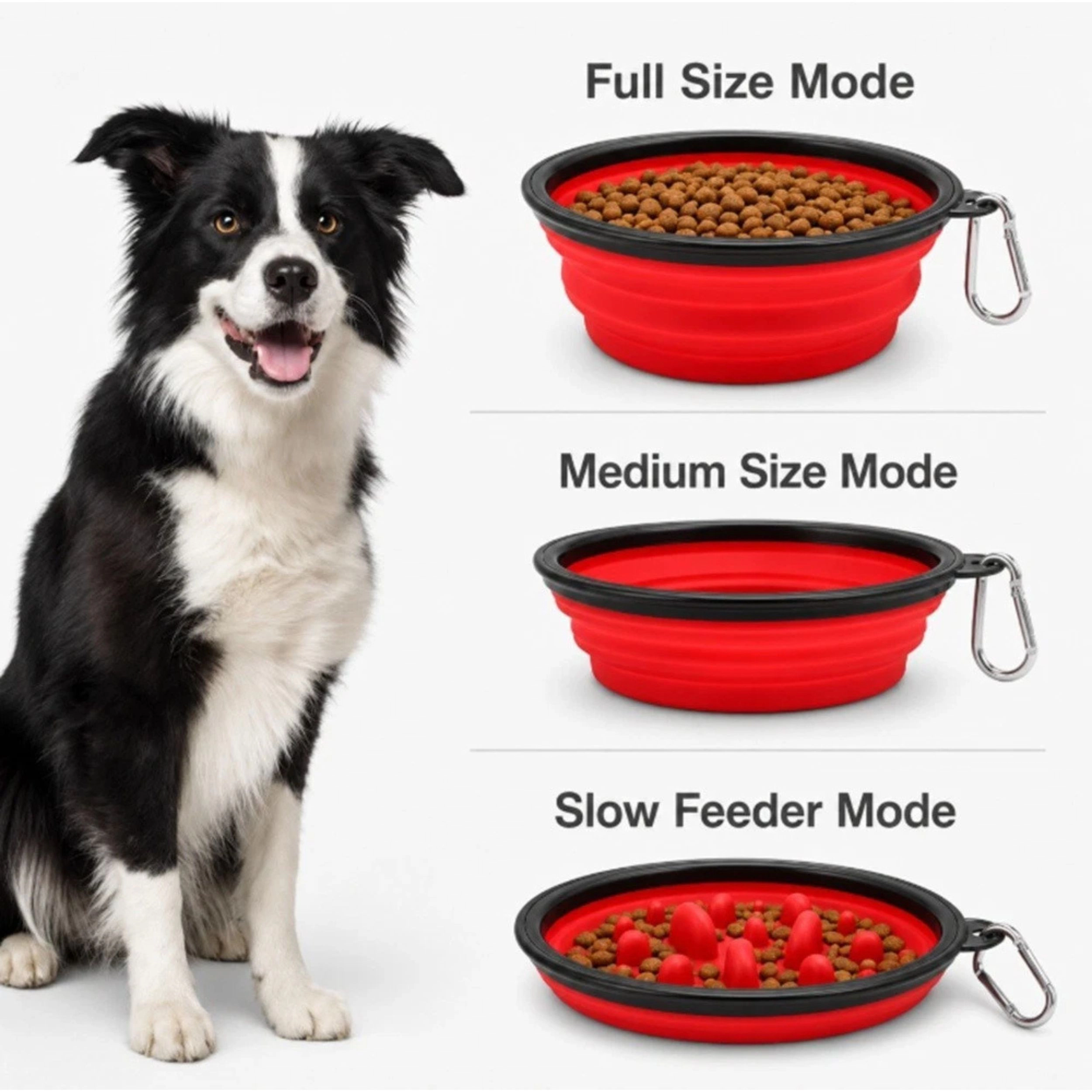 Home Collection 350ML Collapsible Slow Feeder Dog Bowl Portable Travel Pet Dish