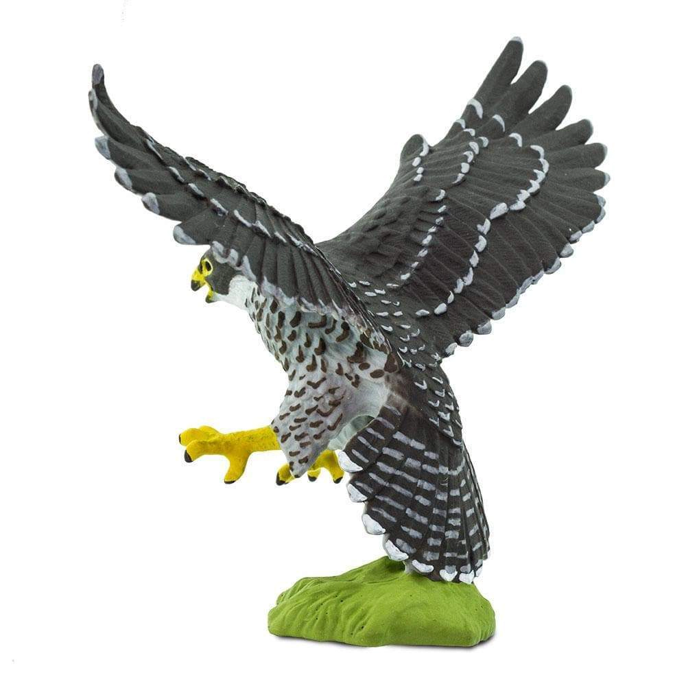 Safari Ltd. - Peregrine Falcon Kids Toy Figure