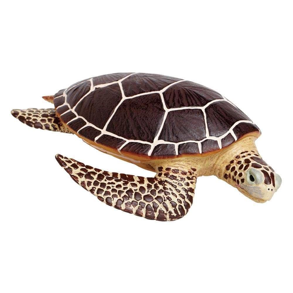 Safari Ltd. - Sea Turtle Kids Toy Figure