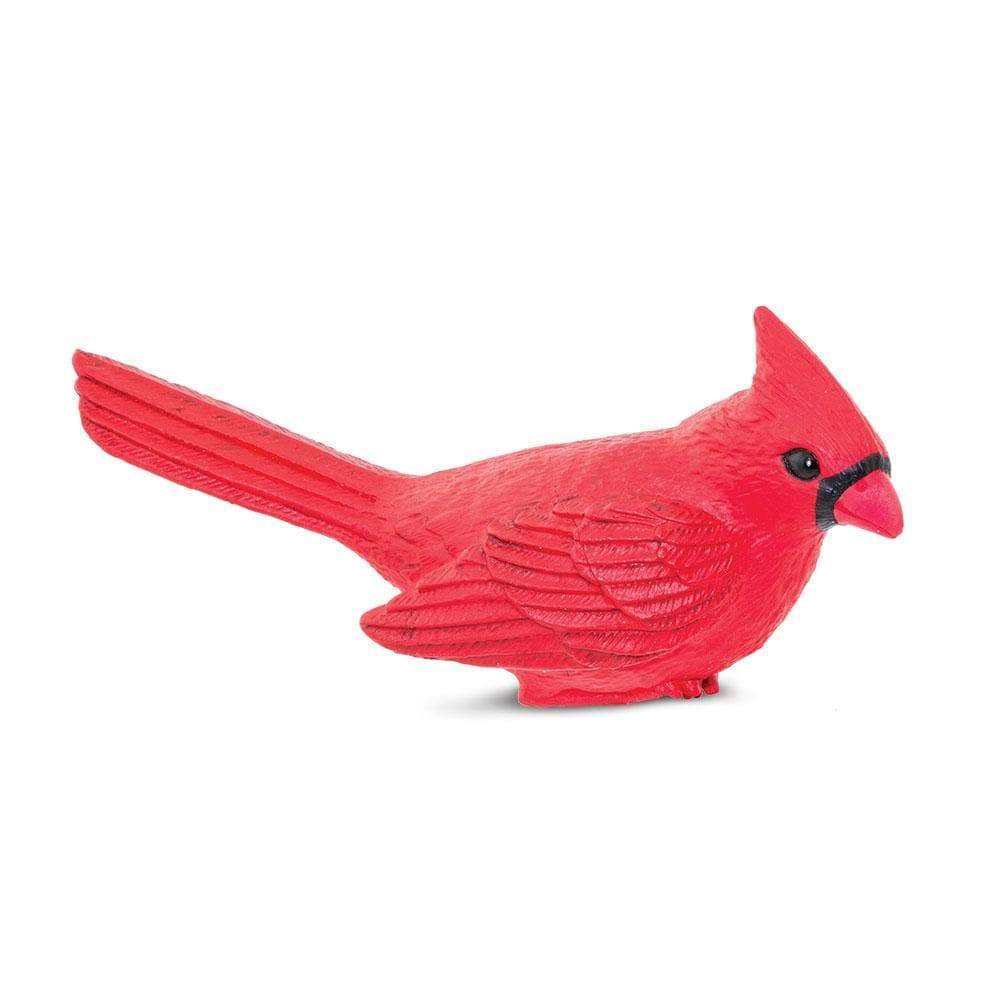 Safari Ltd. - Cardinal Kids Toy Figure
