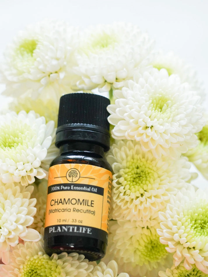 Plantlife Chamomile Essential Oil