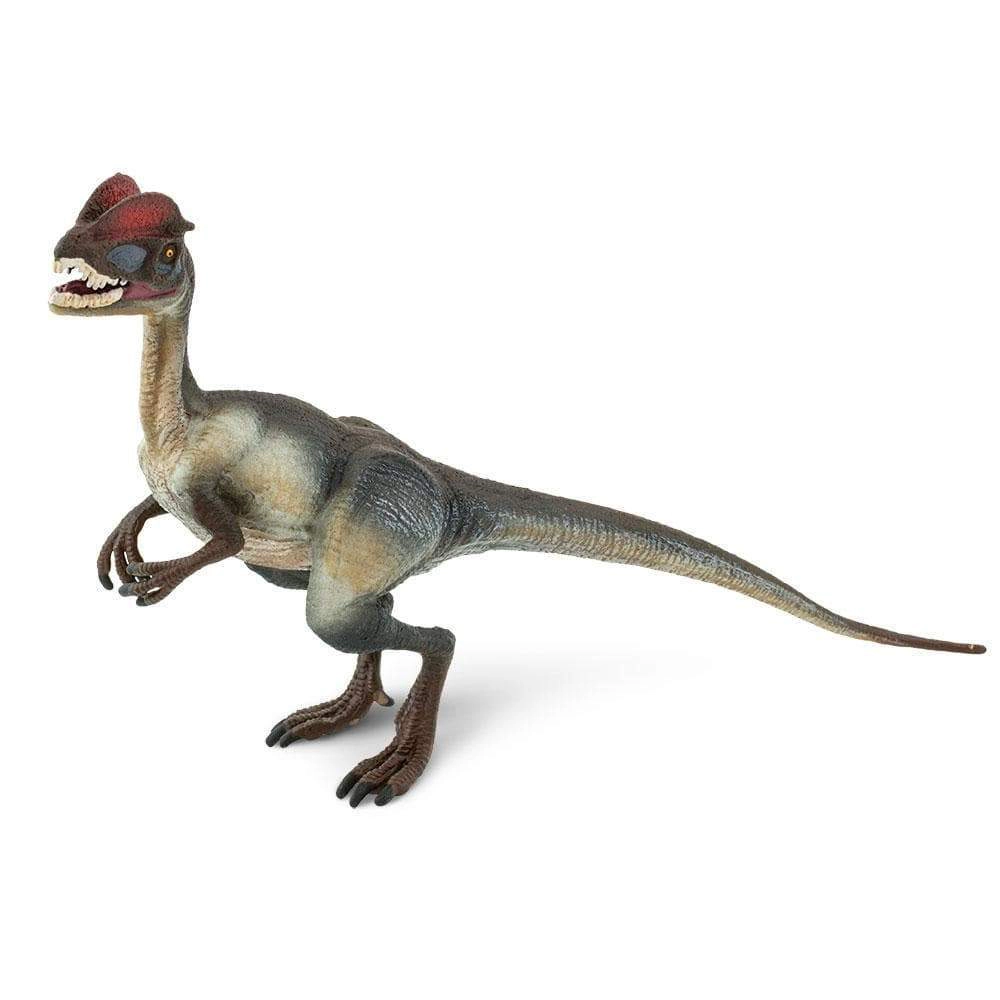 Safari Ltd. - Dilophosaurus Kids Prehistoric/Dinosaur Toy Figure