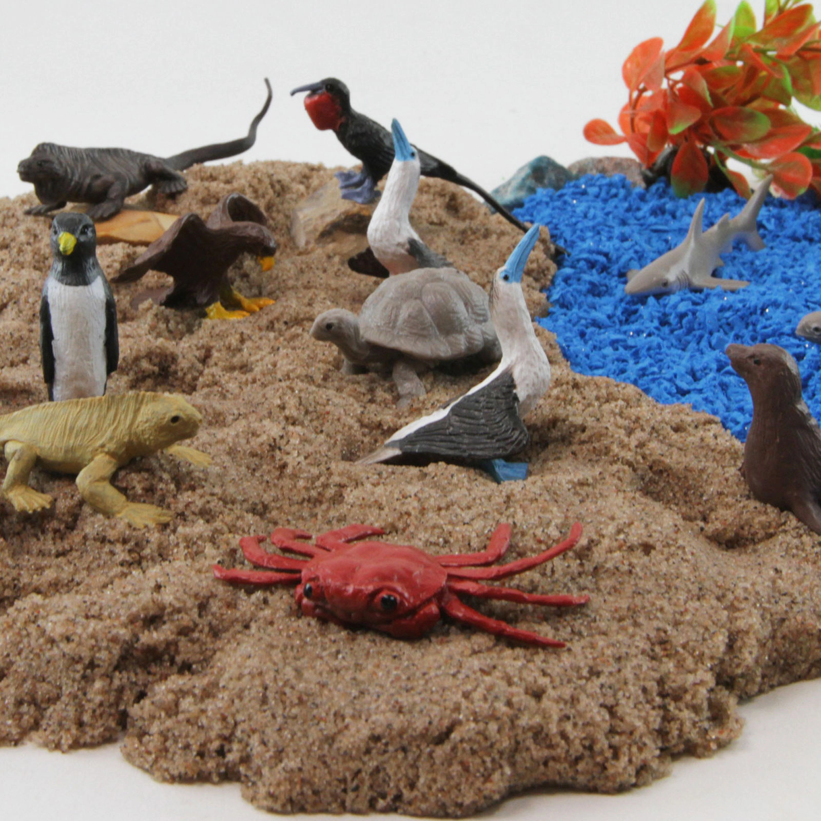 Safari Ltd. - Galapagos Animals TOOB - contains 12 Mini Figurines