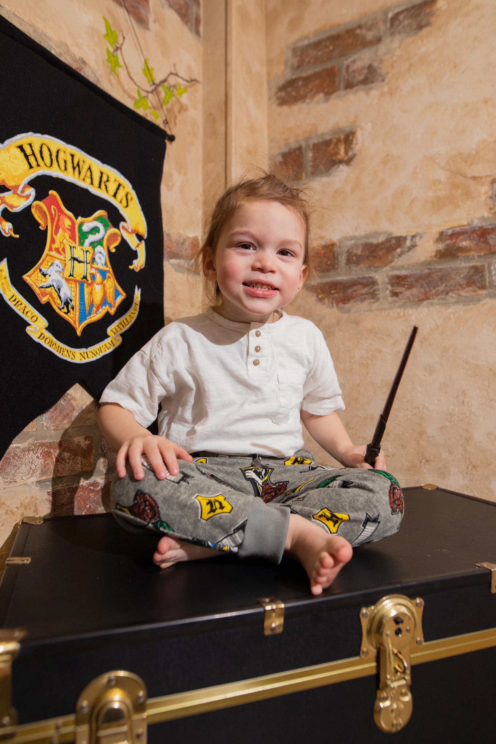 Harry Potter Boys' 2-Pack Fleece Jogger Pants