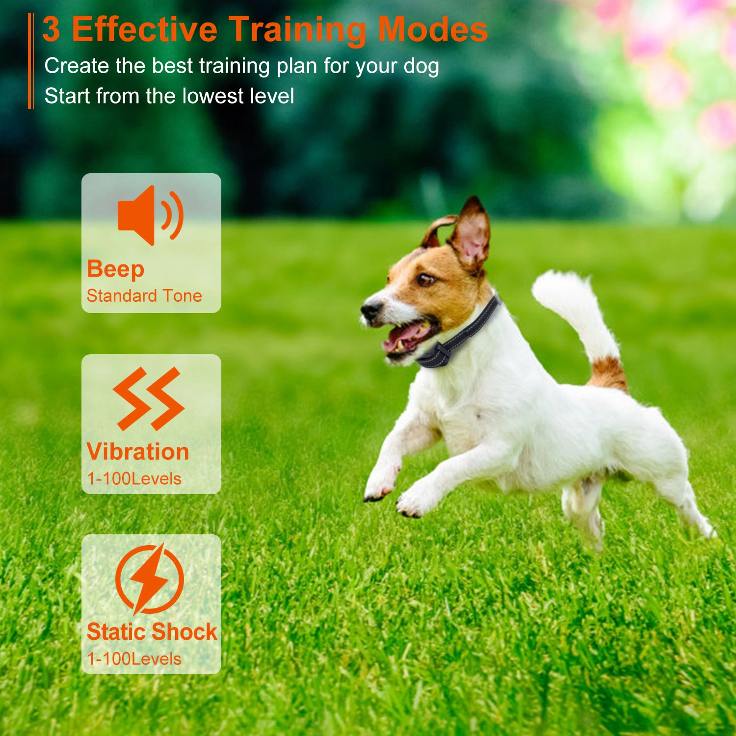 GBruno Waterproof Dog Training Collar Receiver