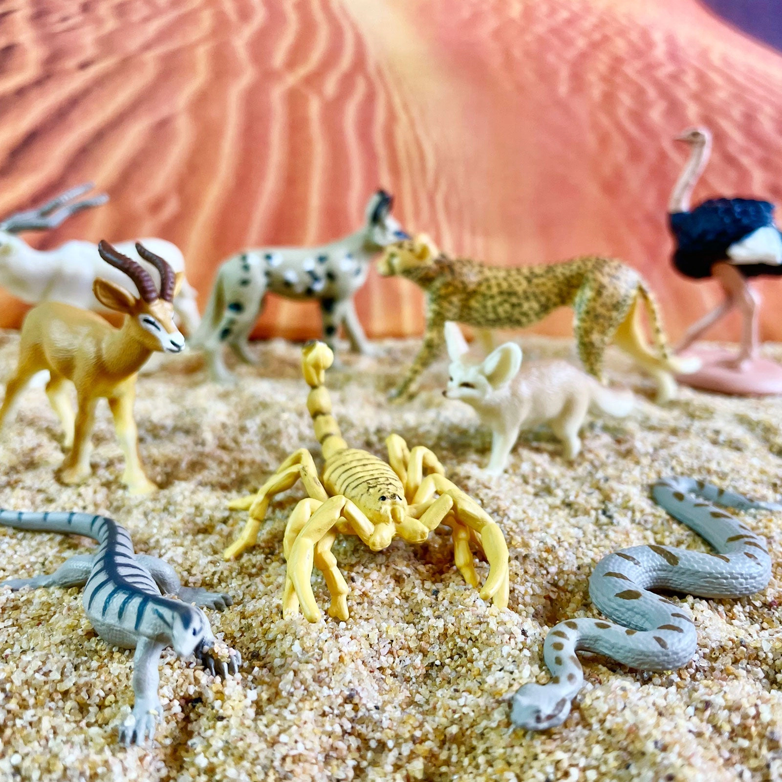 Safari Ltd. - Sahara Desert Animals TOOB - contains 9 Mini Figurines