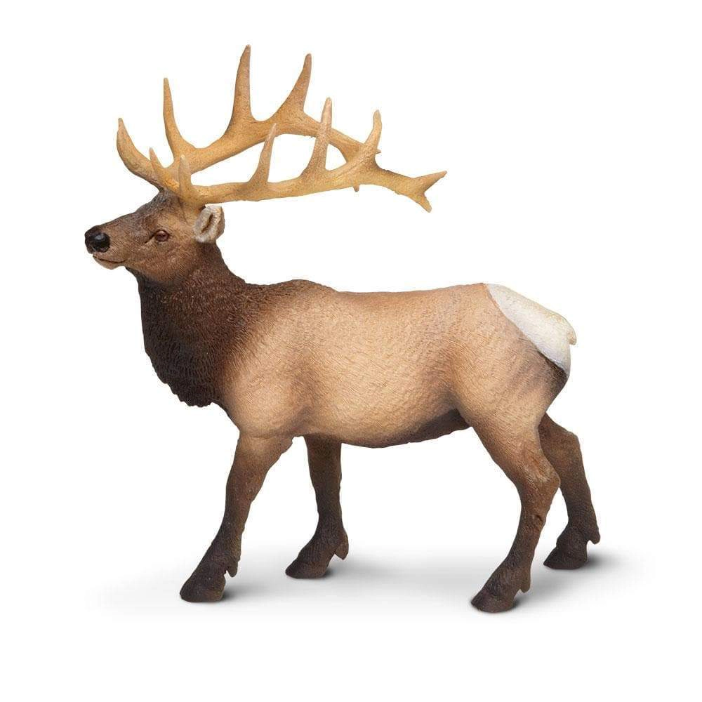 Safari Ltd. - Elk Bull Kids Toy Figure
