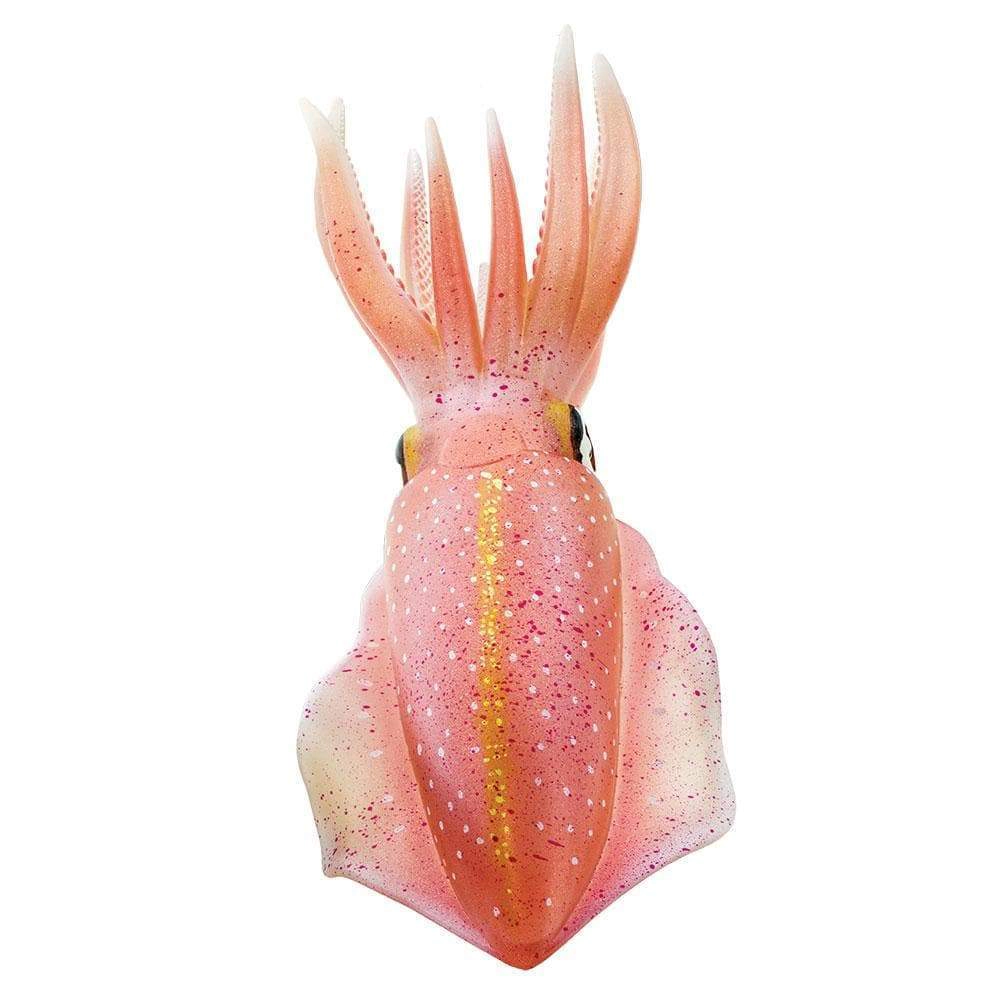 Safari Ltd. - Reef Squid Kids Toy Figure