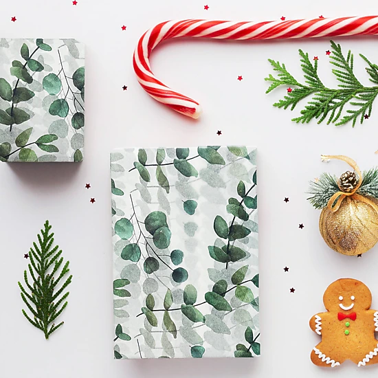 Wrapables 60 Sheets Eucalyptus Tissue Paper 13.75 x 19.75