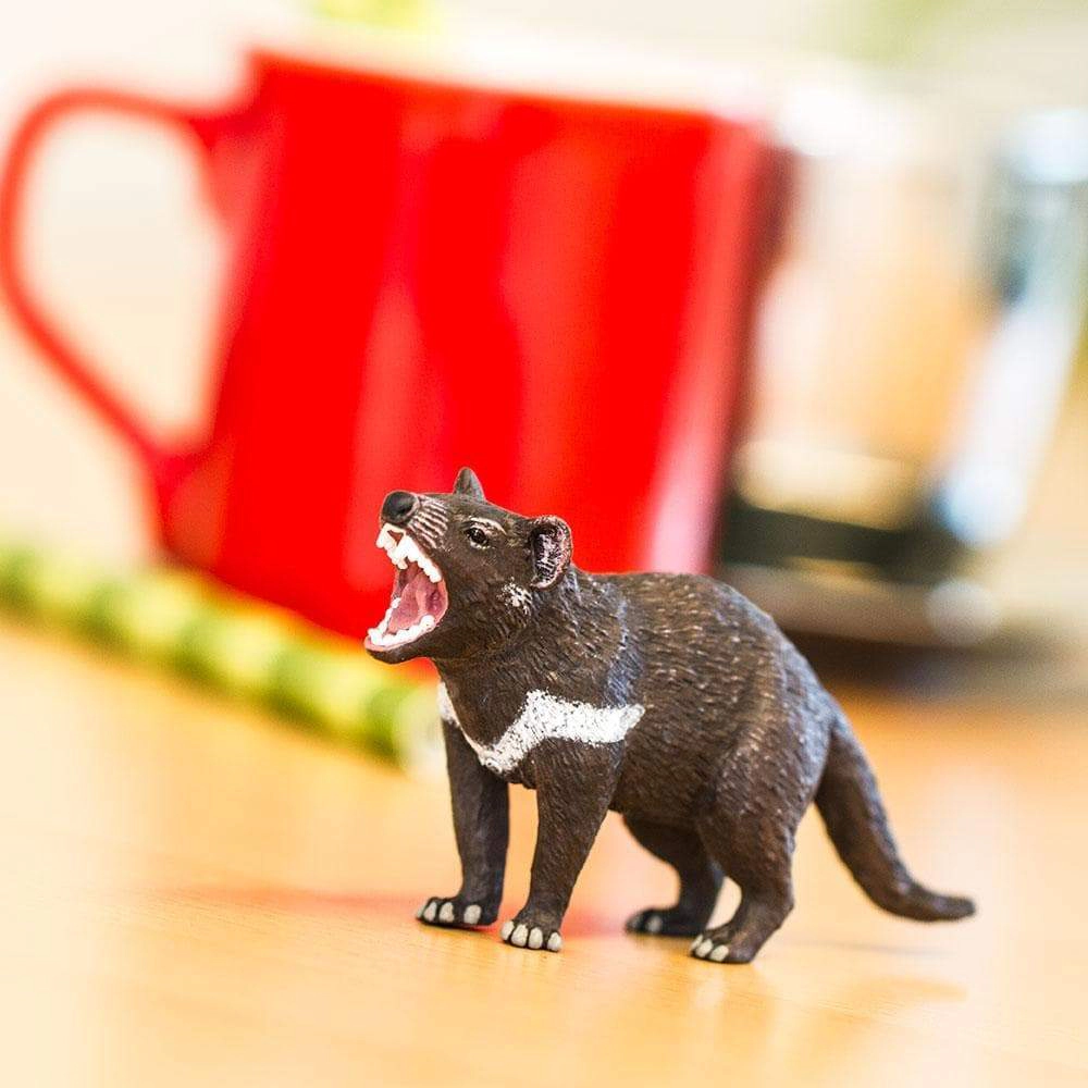 Safari Ltd. - Tasmanian Devil Kids Toy Figure