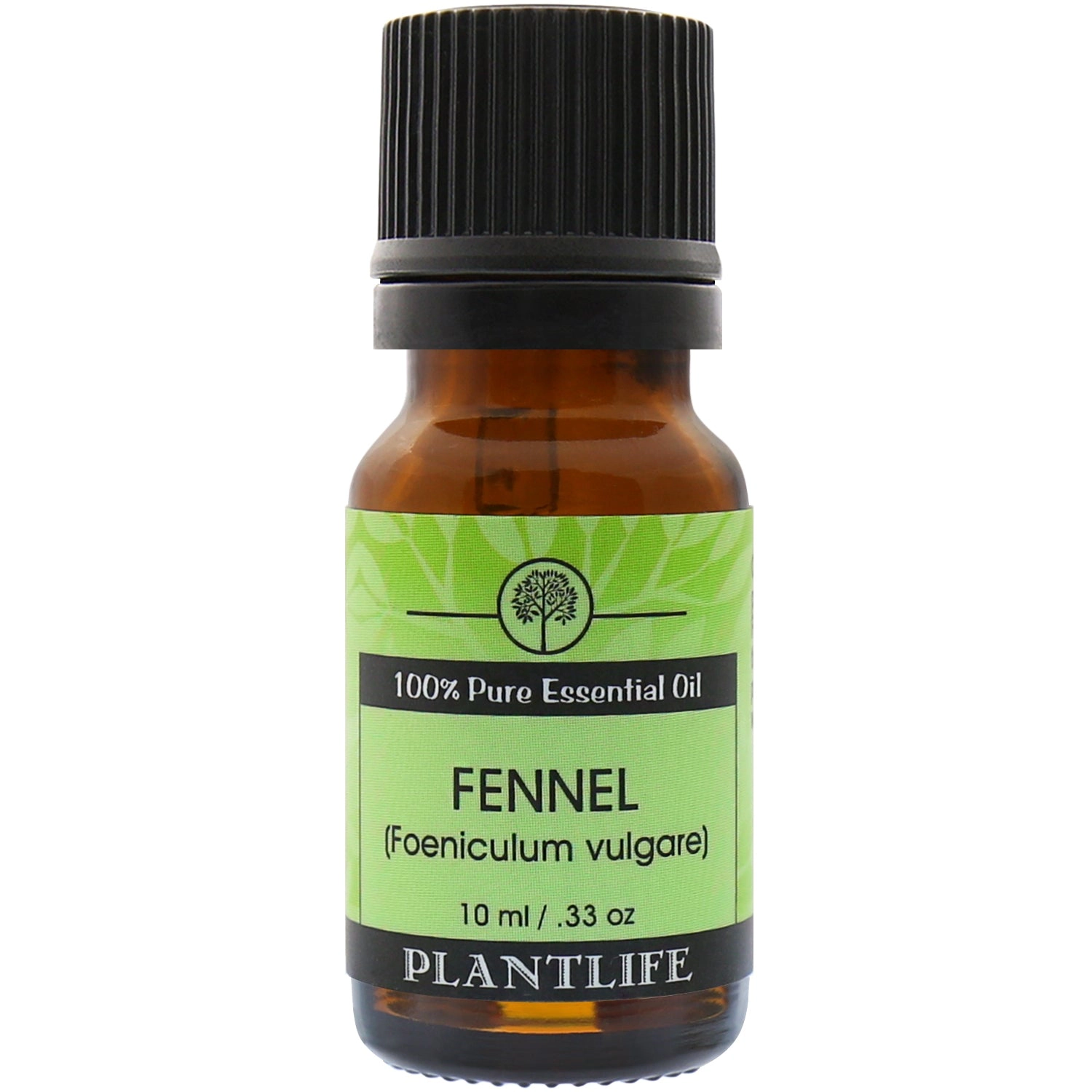 Plantlife Fennel Essential Oil