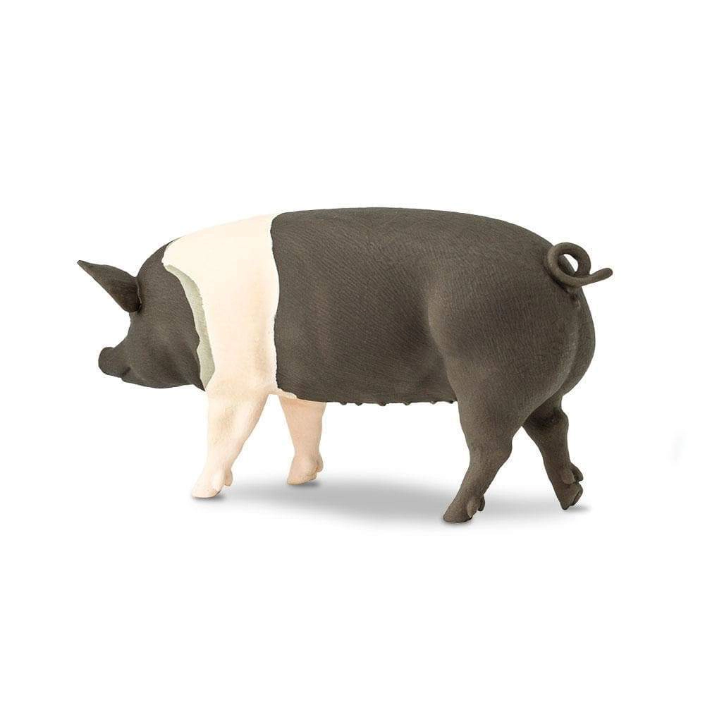 Safari Ltd. - Hampshire Pig Kids Toy Figure
