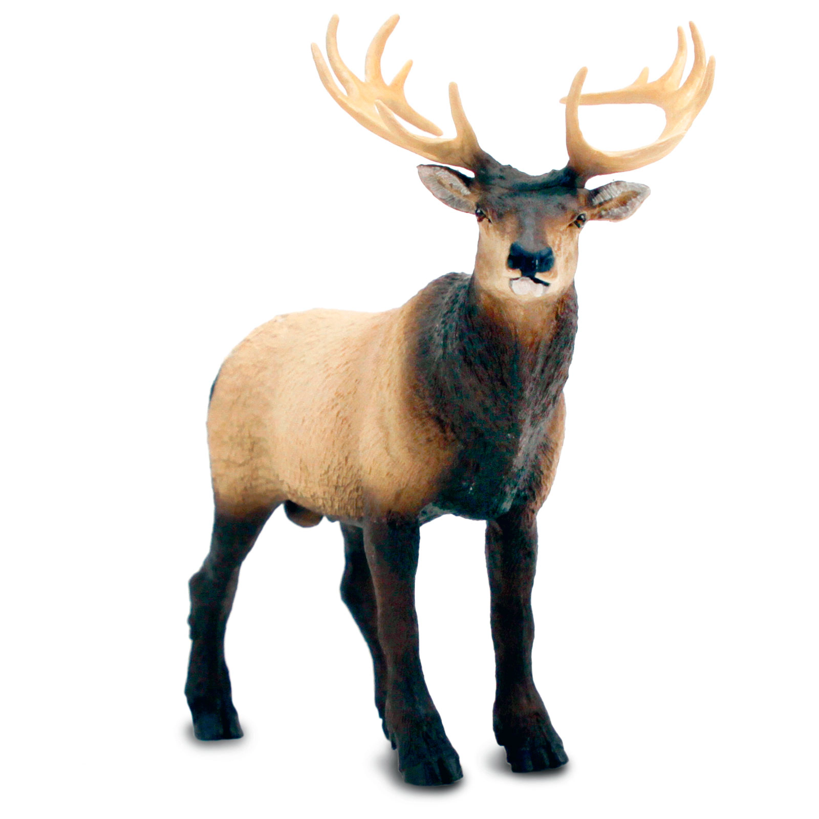 Safari Ltd. - Elk Kids Toy Figure