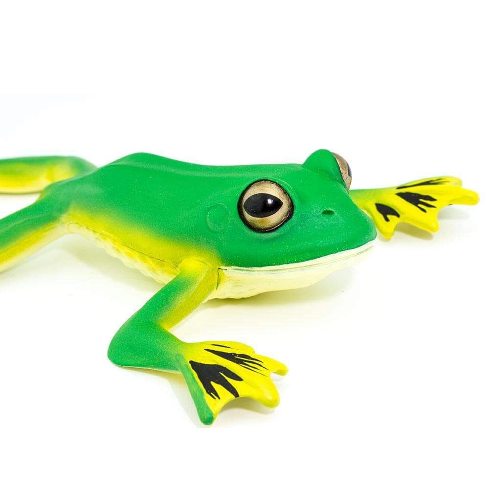 Safari Ltd. - Flying Tree Frog Kids Toy Figure