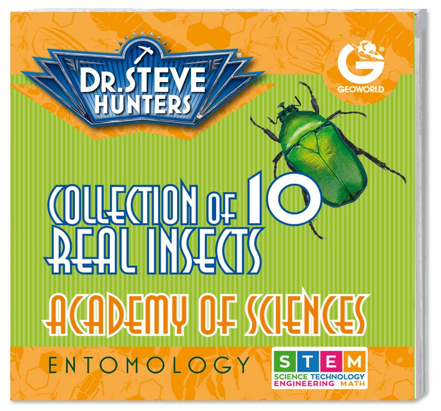 Geoworld - Bug's World - Collection of 10 Real Insects Kids Set