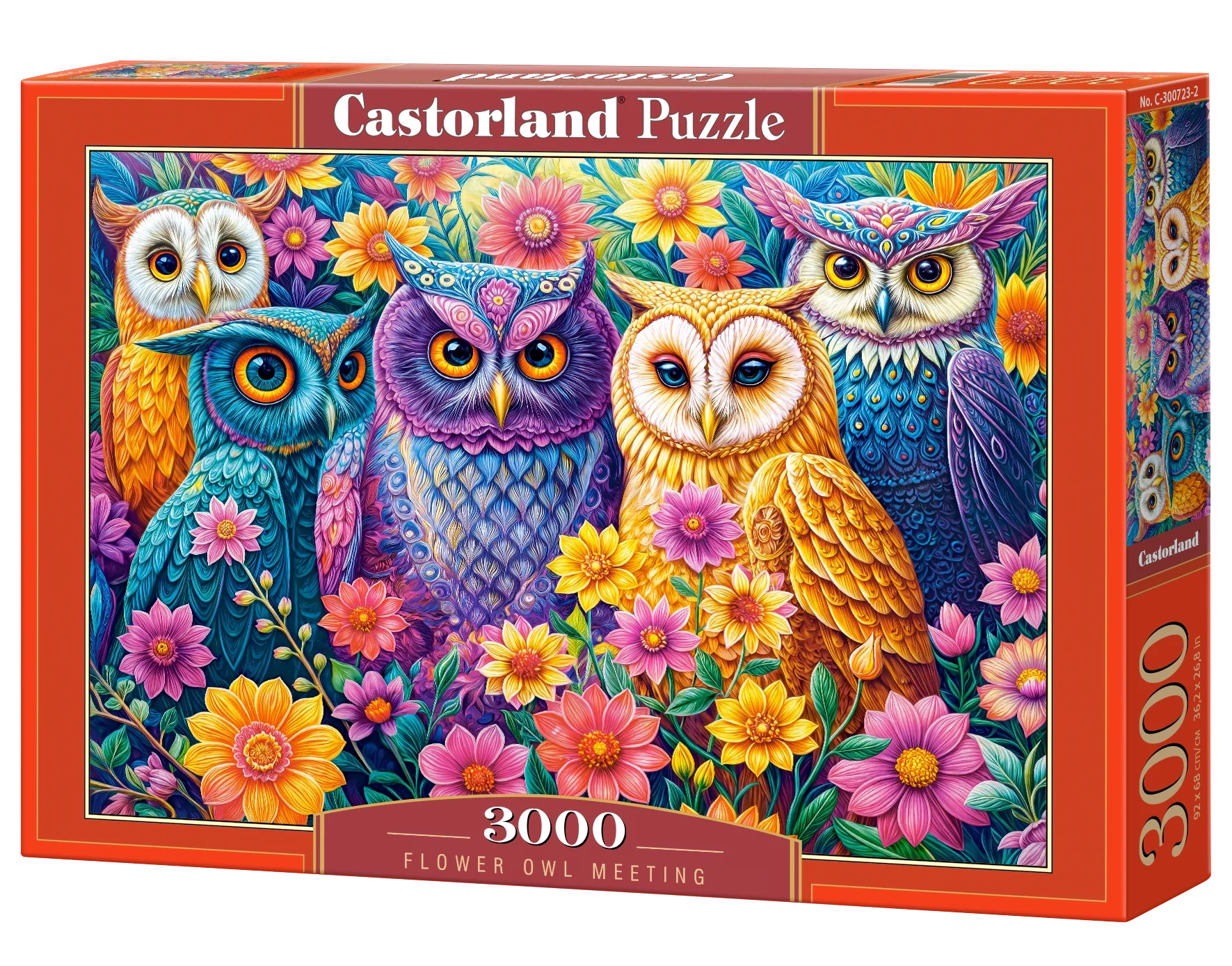 CASTORLAND 3000 Piece Jigsaw Puzzles, Flower Owl Meeting, Vibrant Colorful Owl Garden, C-300723-2