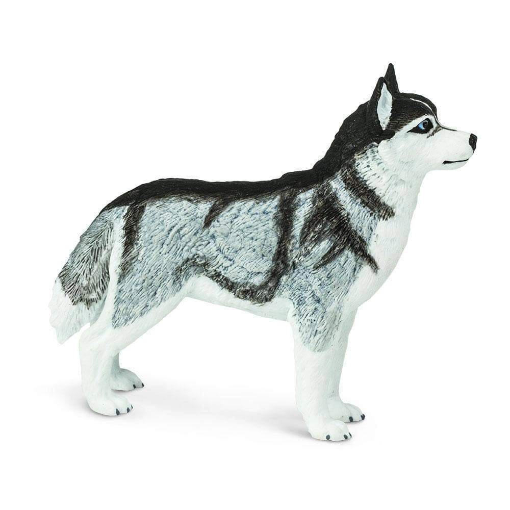 Safari Ltd. - Siberian Husky Kids Toy Figure
