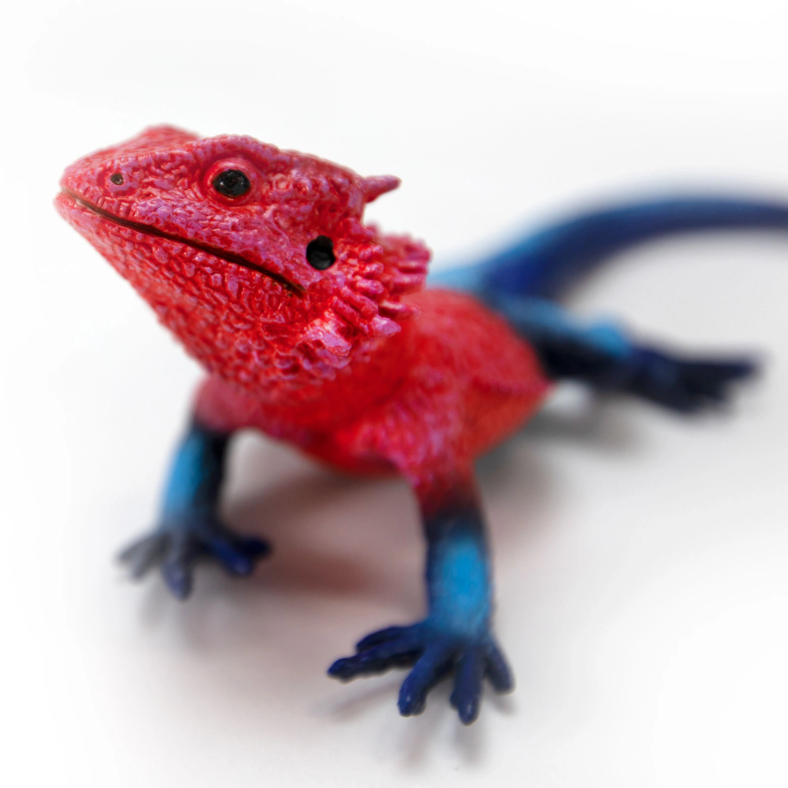 Safari Ltd. - Mwanza Flat-Headed Rock Agama Kids Toy Figure