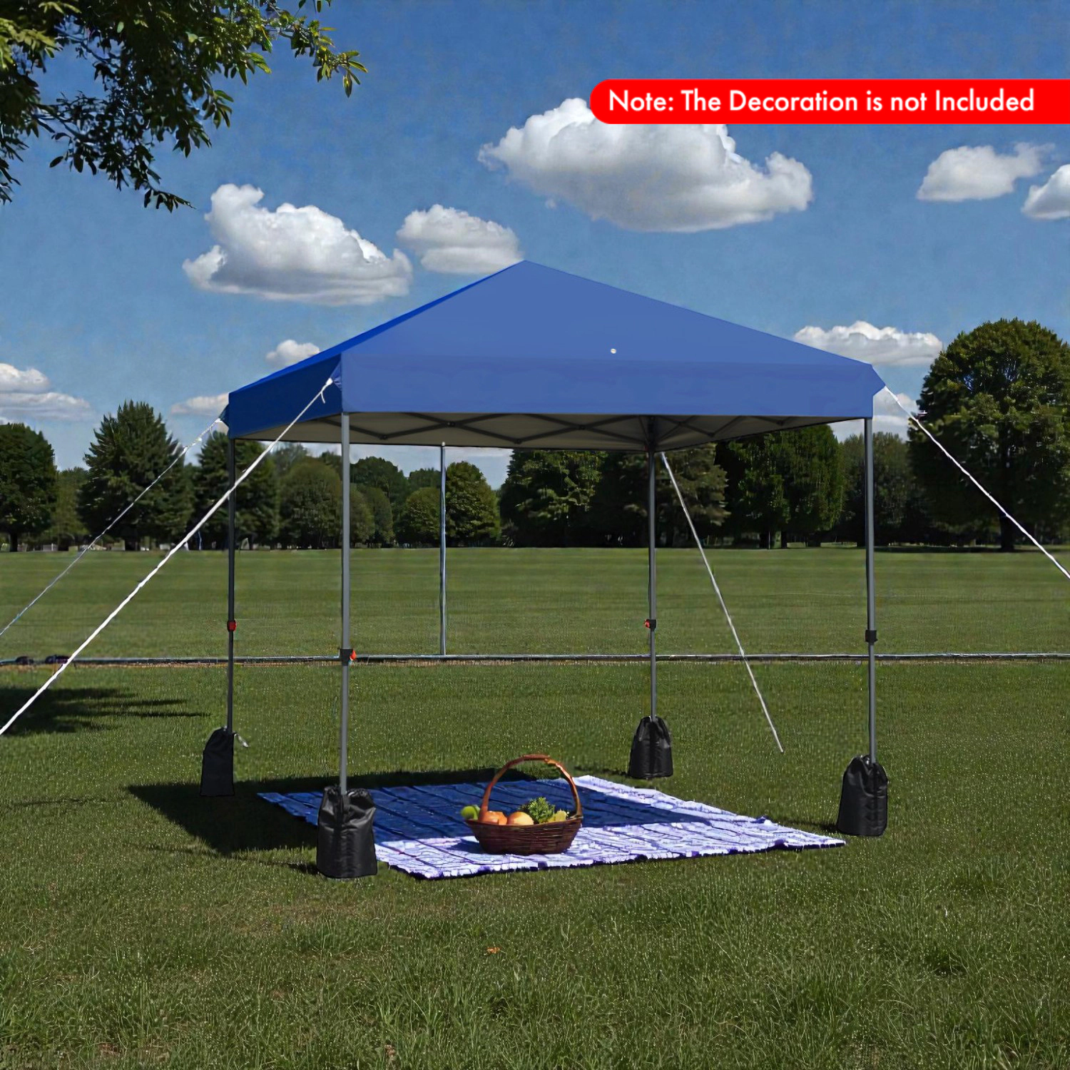Hivvago Portable Pop-Up Canopy Tent with Sand Bags