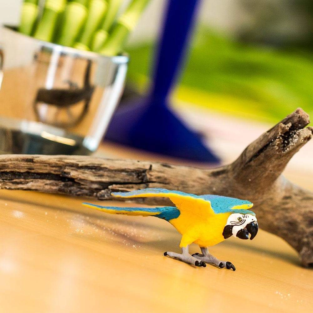 Safari Ltd. - Blue & Gold Macaw Kids Toy Figure