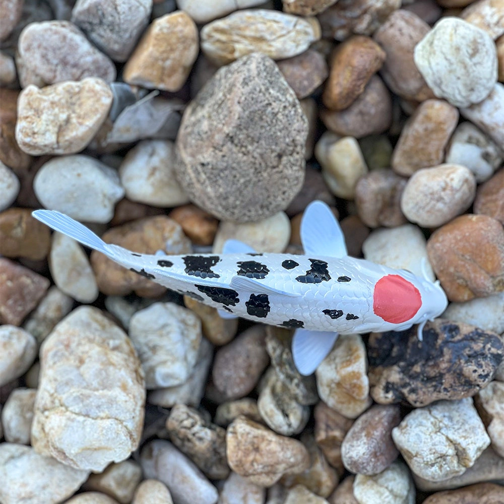 Safari Ltd. - Koi Fish - Tancho Kids Toy Figure