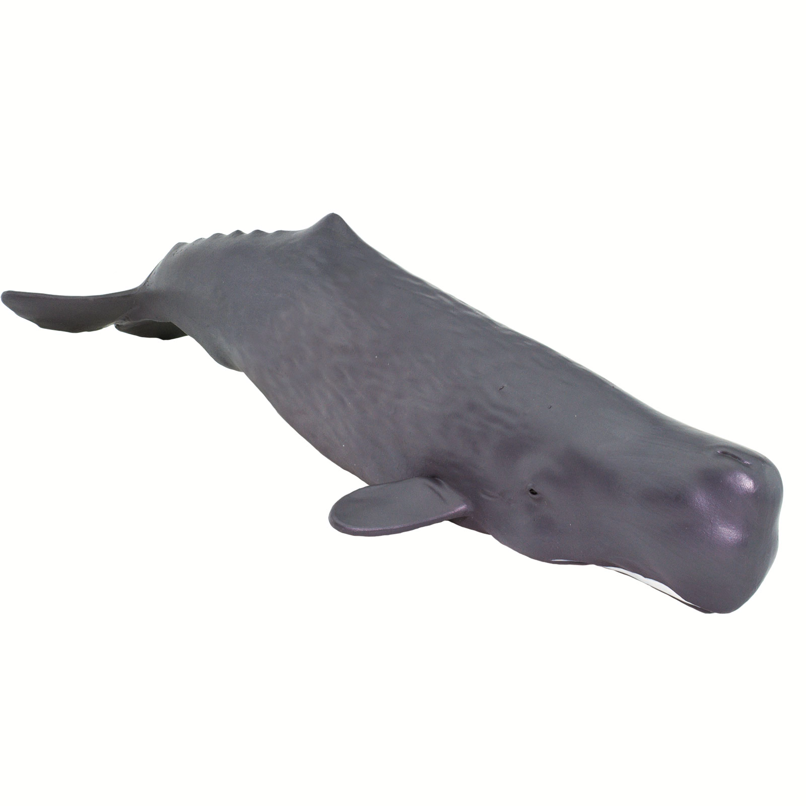 Safari Ltd. - Sperm Whale Kids Toy Figure