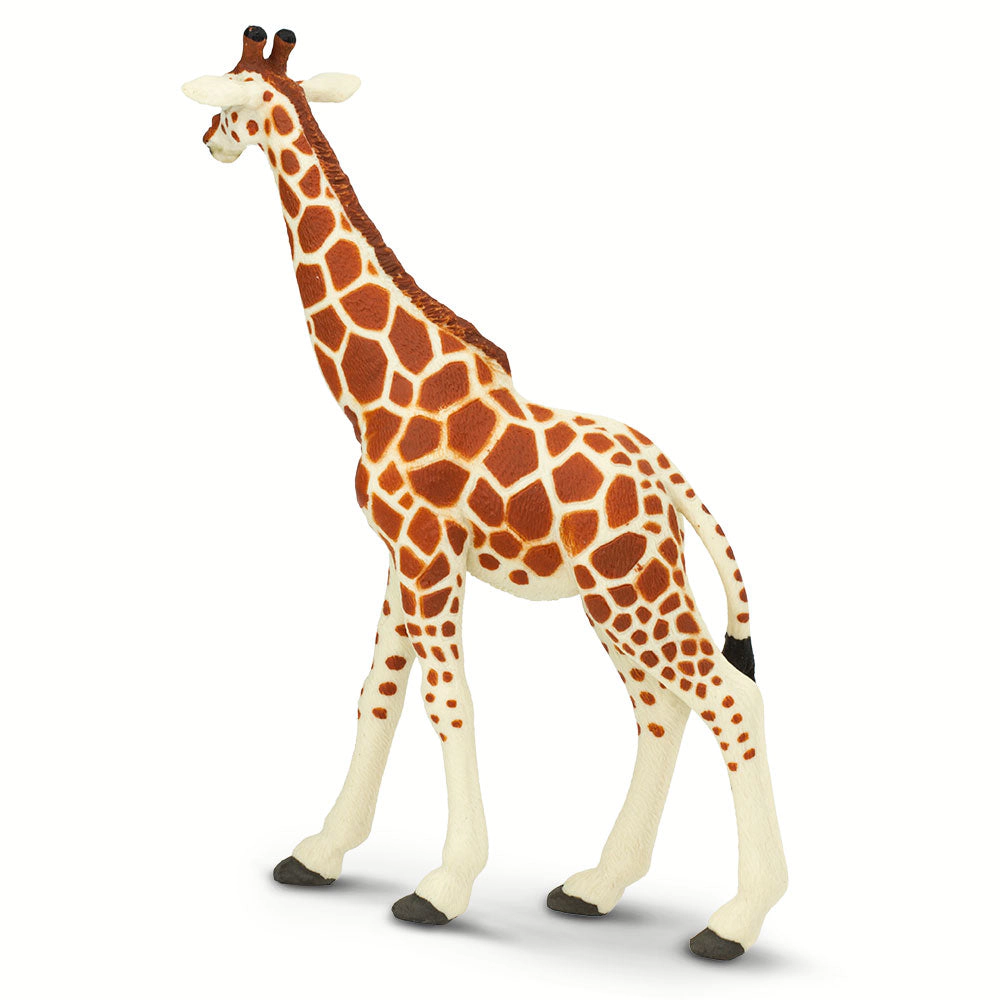 Safari Ltd. - Reticulated Giraffe Kids Toy Figure