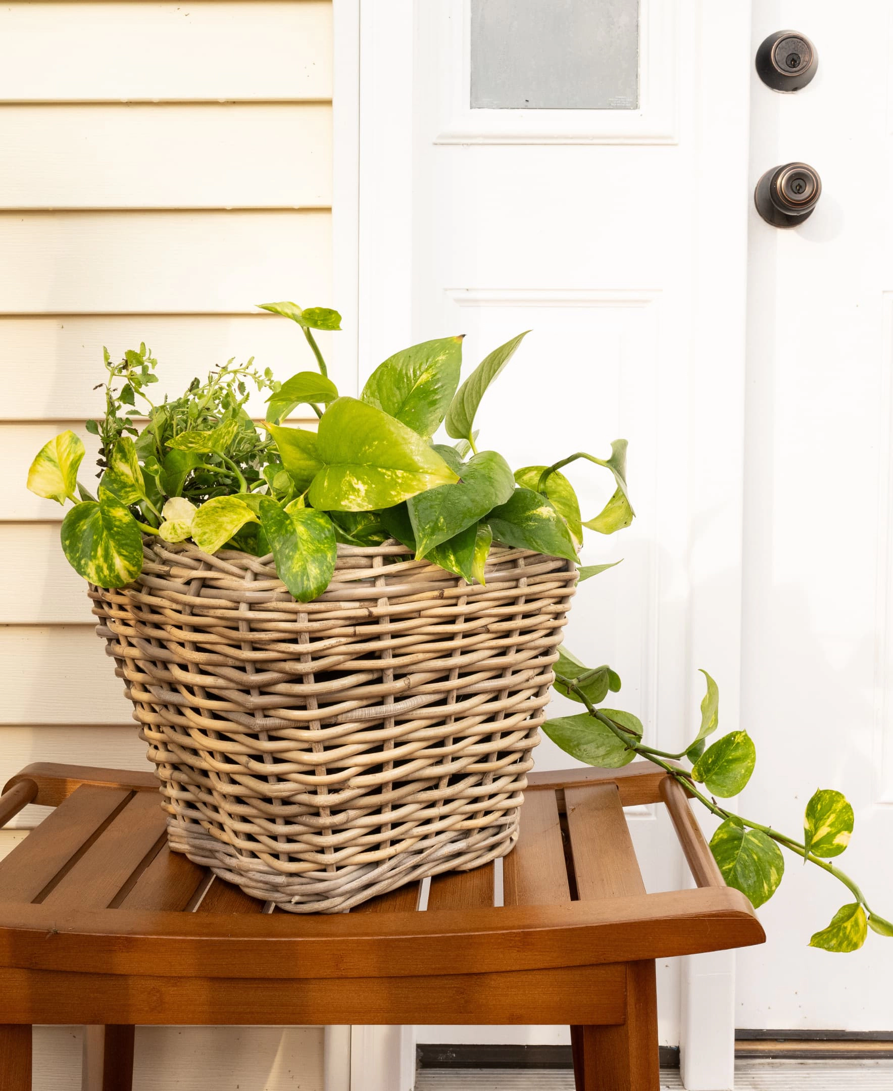 Saboga Home™ Square Tapered Planter with Plastic Insert