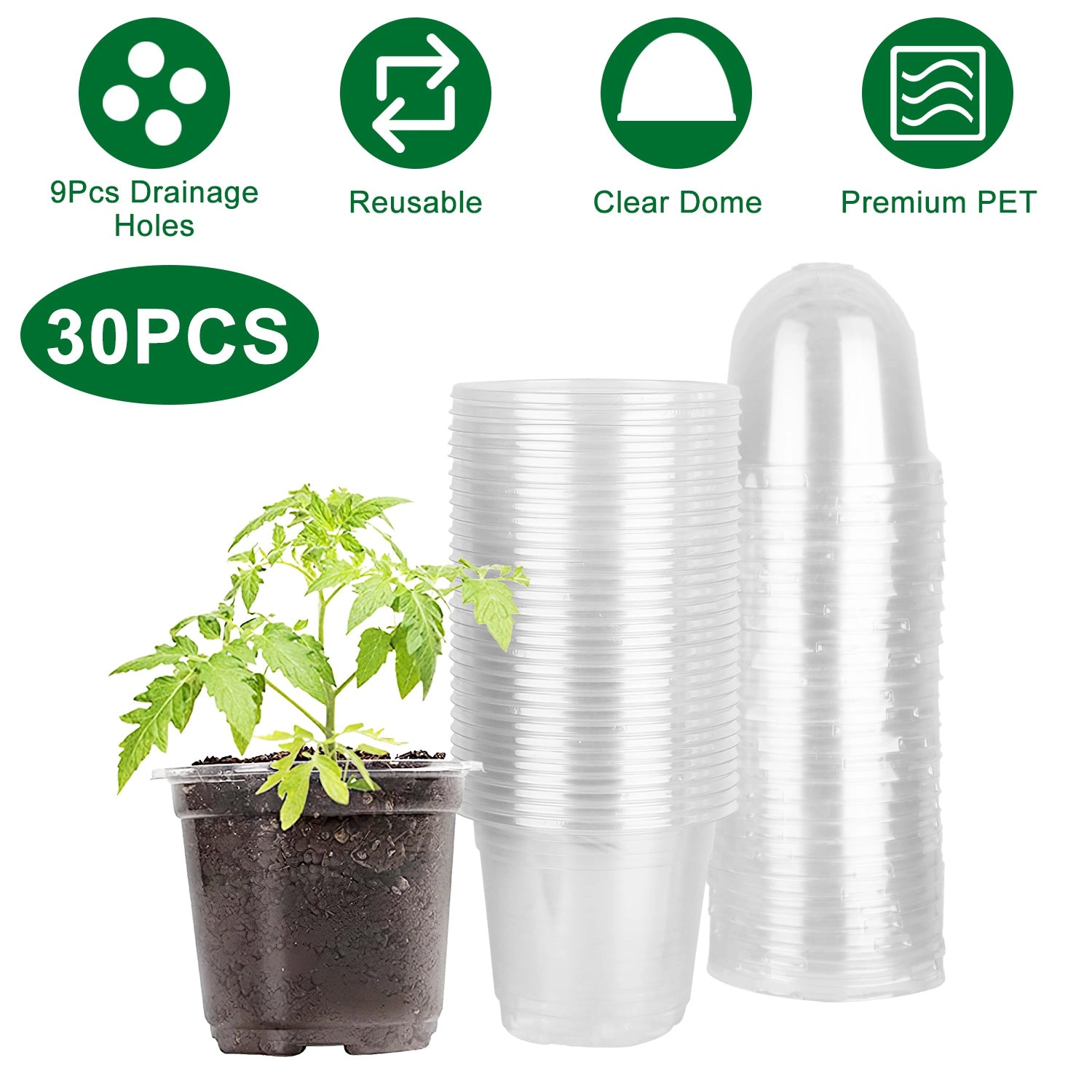 GBruno 30-Piece Clear Plant Nursery Pots With Domes