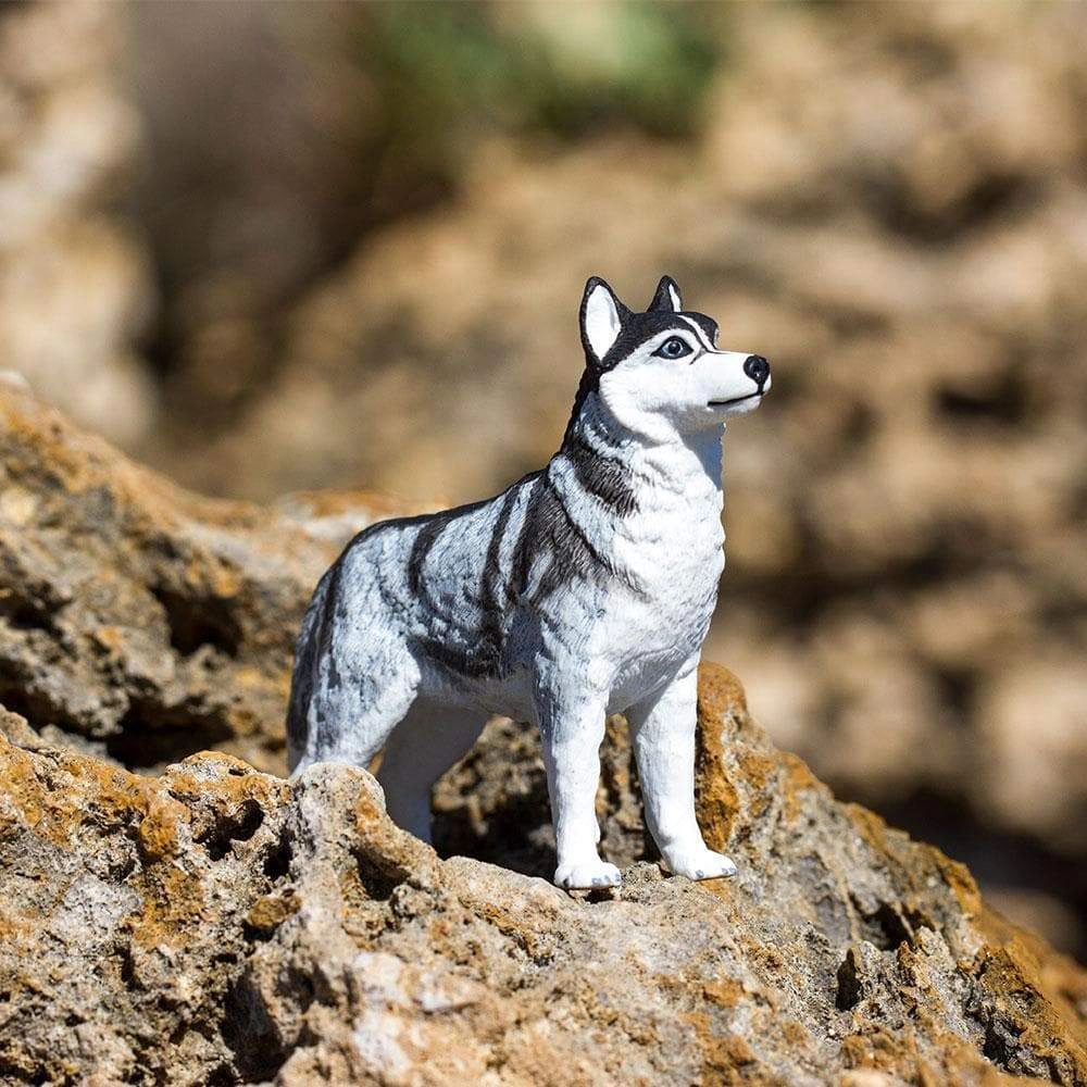 Safari Ltd. - Siberian Husky Kids Toy Figure