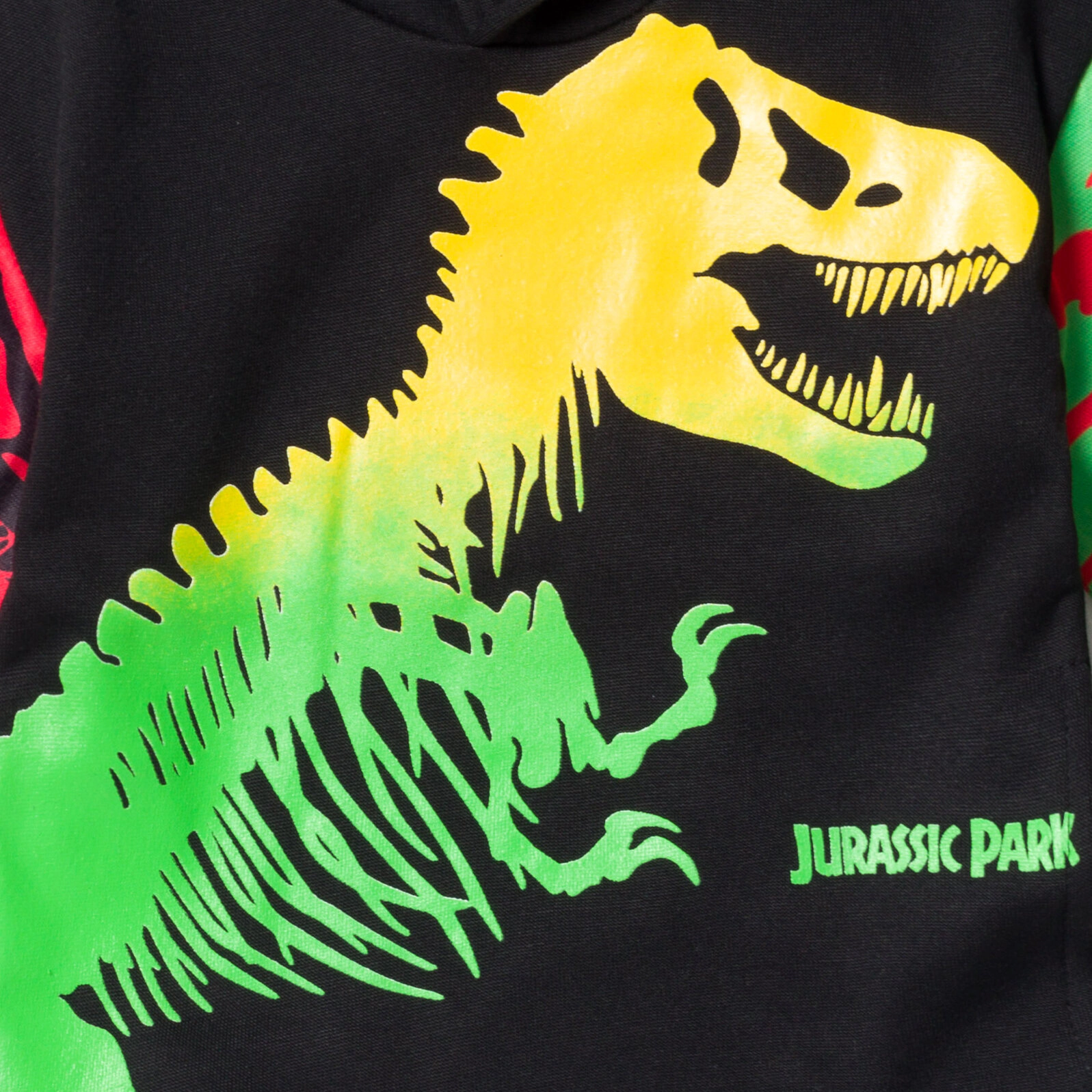 Jurassic World Park Boys' Fleece Hoodie