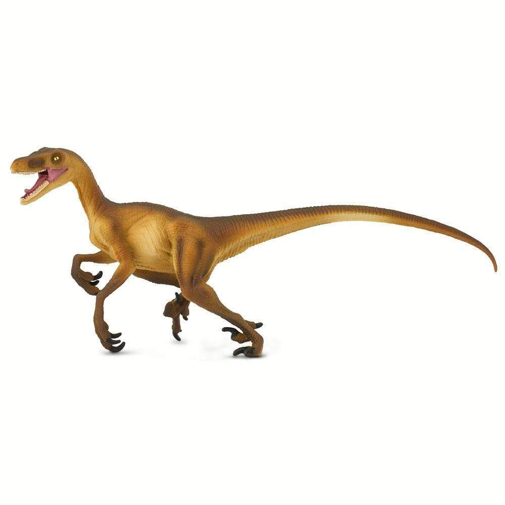 Safari Ltd. - Velociraptor Kids Prehistoric/Dinosaur Toy Figure