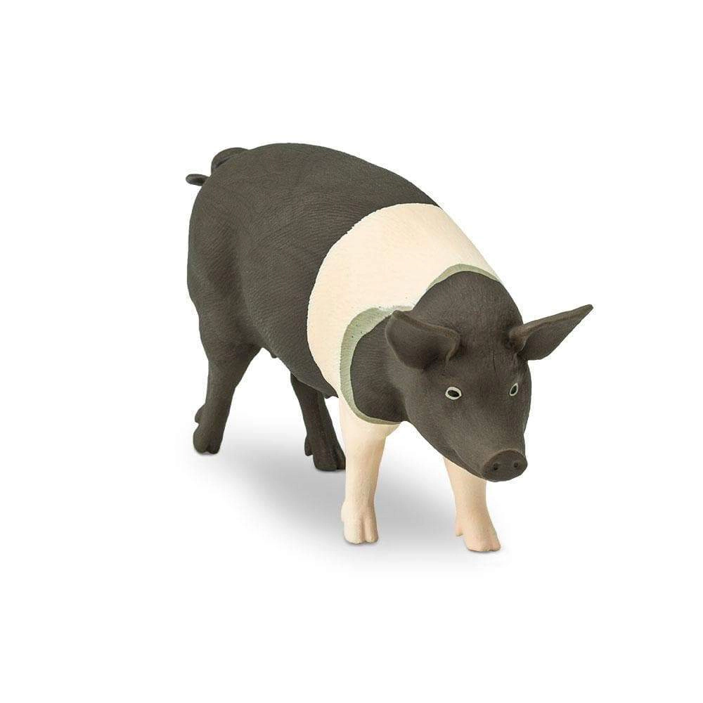 Safari Ltd. - Hampshire Pig Kids Toy Figure