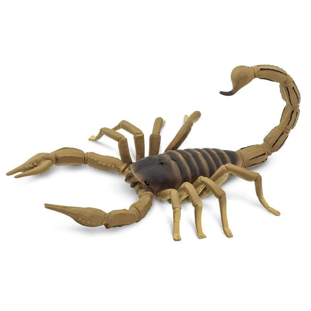 Safari Ltd. - Scorpion Kids Toy Figure